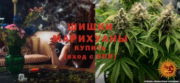 спиды Абаза