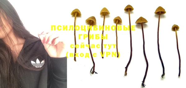 ALPHA-PVP Абинск