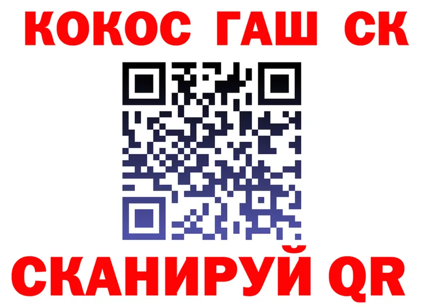 АМФ VHQ ONION площадка блэк спрут Ярославль